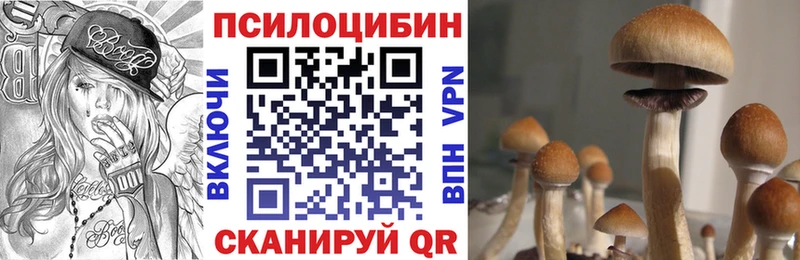 Купить  Соликамск  Псилоцибиновые грибы мицелий 